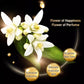 Deep Cleansing Moisturizing Golden Perfume Soap【Buy 4 Get 3 Free】