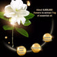 Deep Cleansing Moisturizing Golden Perfume Soap【Buy 4 Get 3 Free】