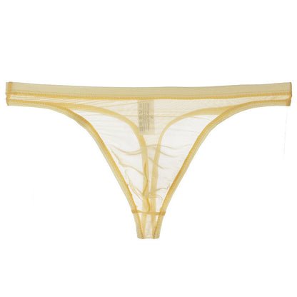 Men's Sexy Silk Mesh Bikini Thin Thong