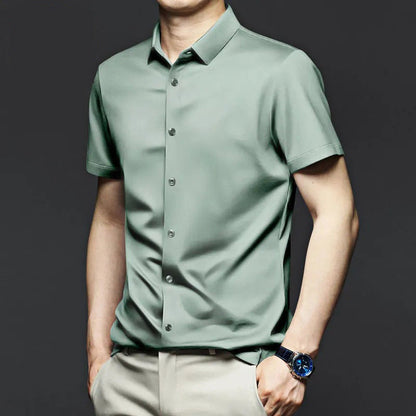 Men's Classic Wrinkle Resistant Shirt（Buy 2 Free Shipping）