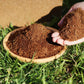 🎁Hot Sale 50% OFF⏳Organic Coconut Coir for Plants
