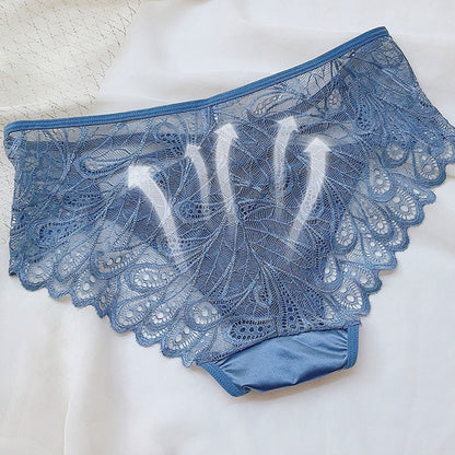 Women's Sexy Lace Sheer Panties with Plus Size