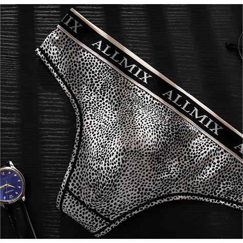 Men's Letter Leopard Print Low Rise Briefs
